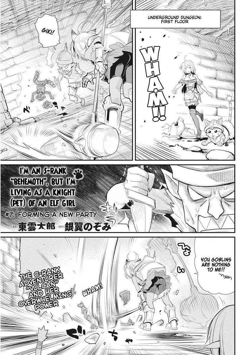 I Am Behemoth Of The S Rank Monster But I Am Mistaken As A Cat And I Live As A Pet Of Elf Girl Chapter 7 - Page 2