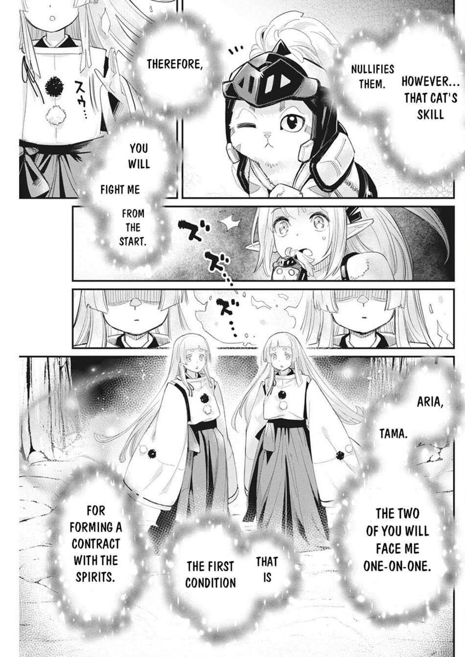 I Am Behemoth Of The S Rank Monster But I Am Mistaken As A Cat And I Live As A Pet Of Elf Girl Chapter 76 - Page 7