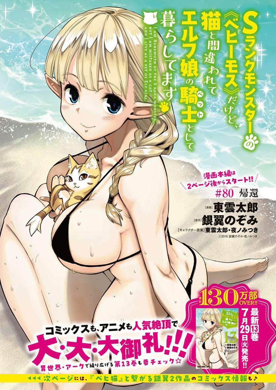 I Am Behemoth Of The S Rank Monster But I Am Mistaken As A Cat And I Live As A Pet Of Elf Girl Chapter 80 - Page 1