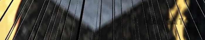 Became King After Being Bitten Chapter 91 - Page 75