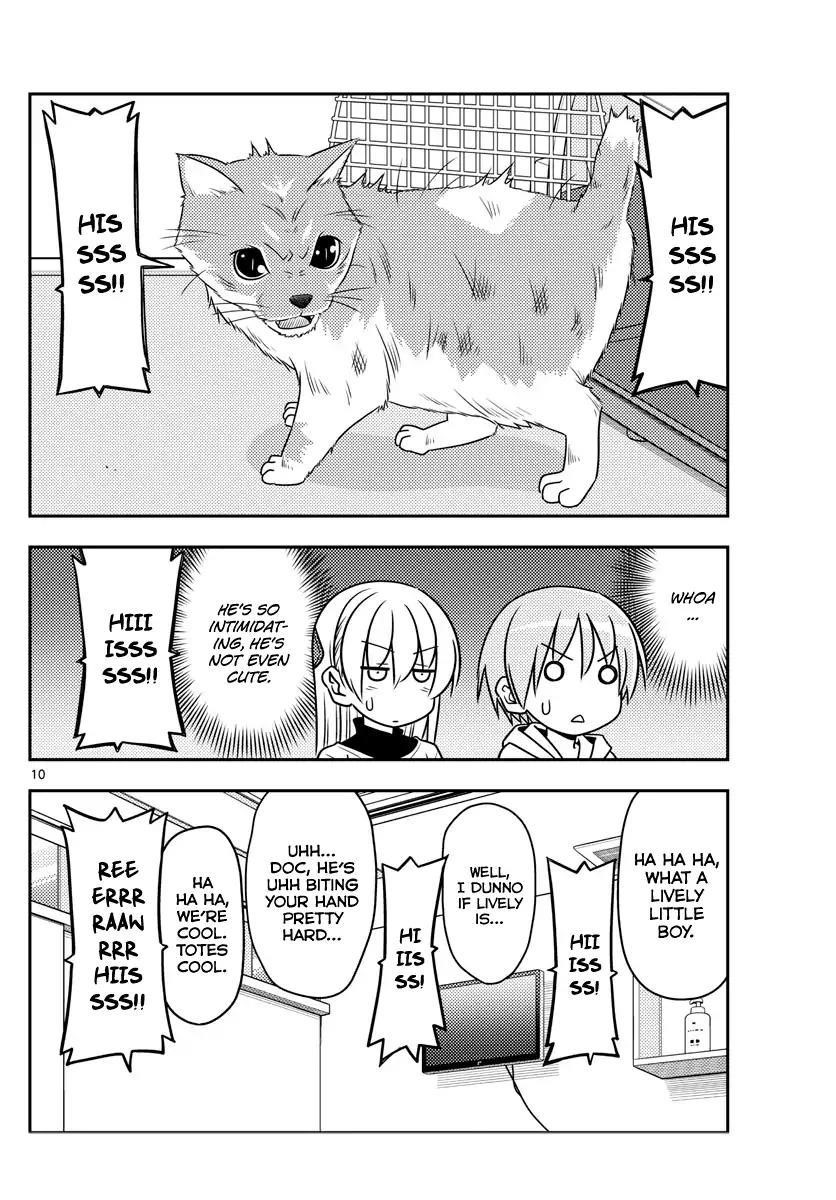 Tonikaku Cawaii Chapter 51 - Page 10
