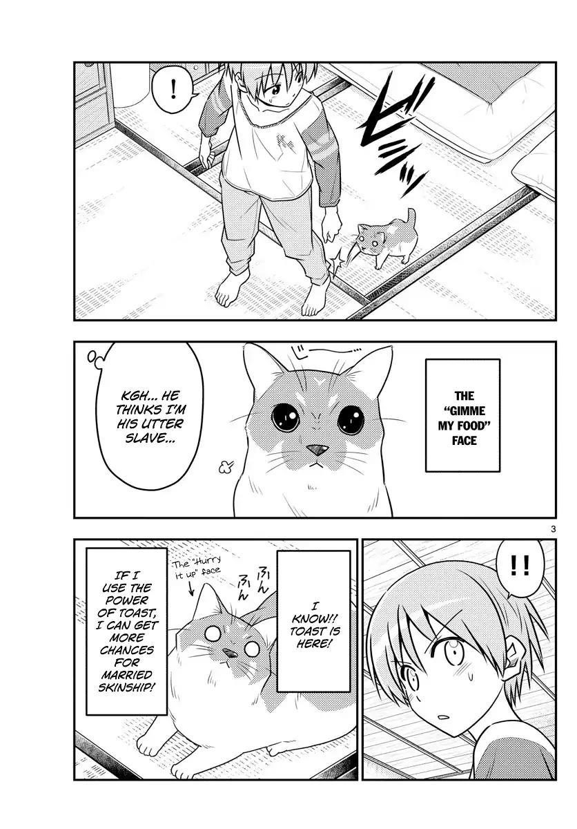 Tonikaku Cawaii Chapter 53 - Page 3