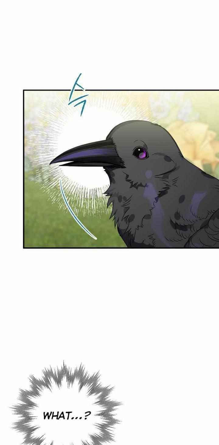 After All, I Became a Crow Chapter 8 - Page 15