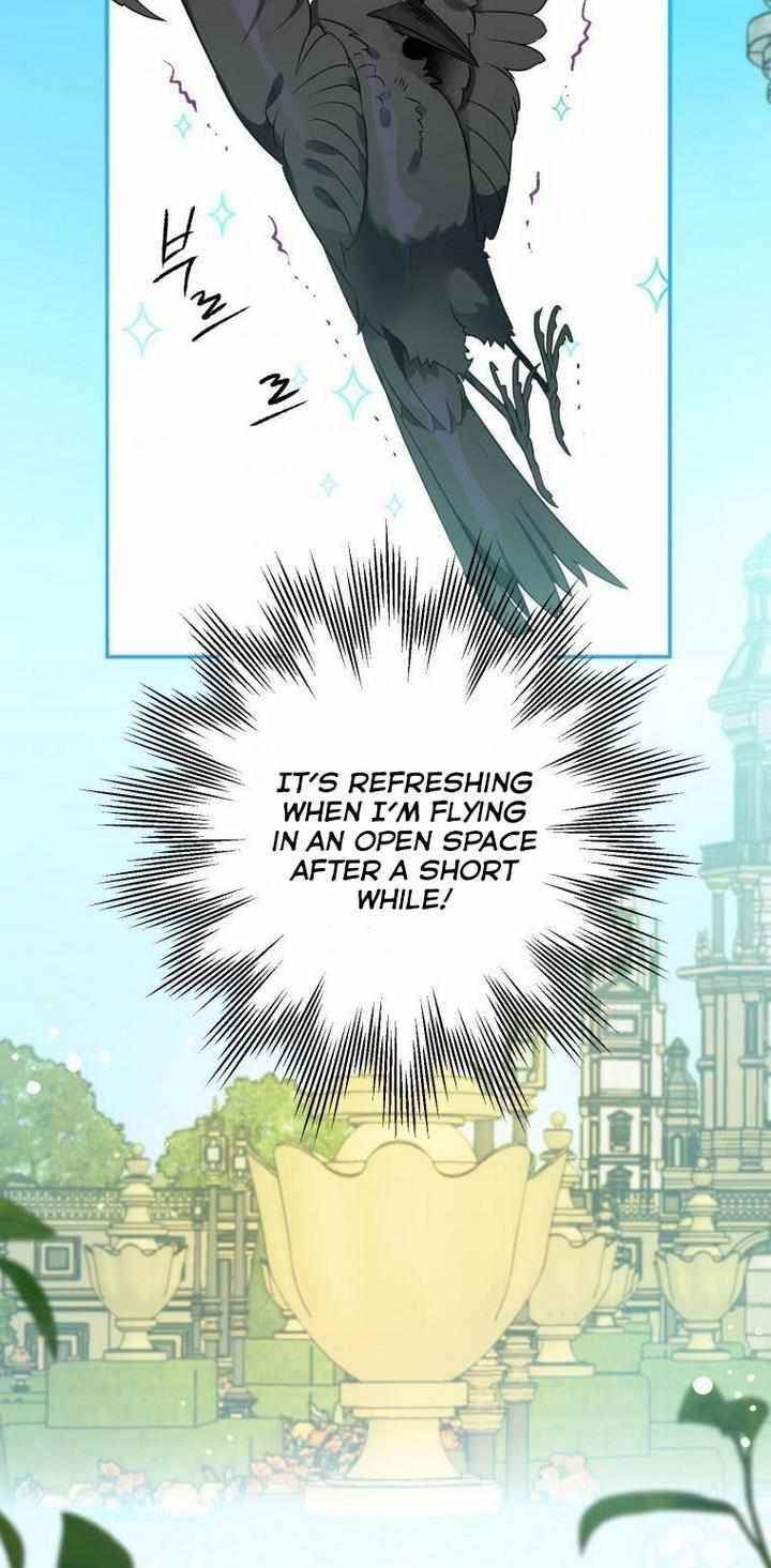 After All, I Became a Crow Chapter 8 - Page 4