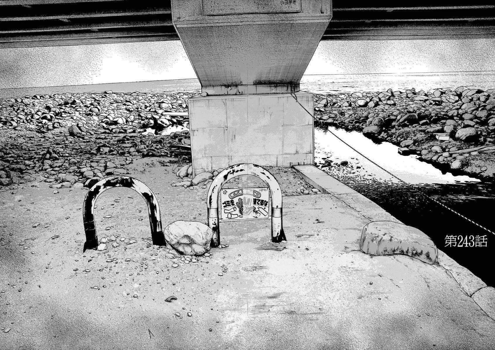 I Am a Hero Chapter 243 - Page 2