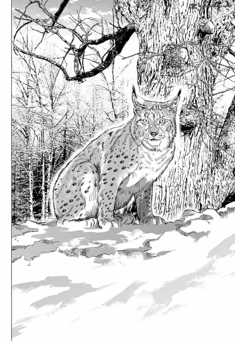 Golden Kamui Chapter 169 - Page 16