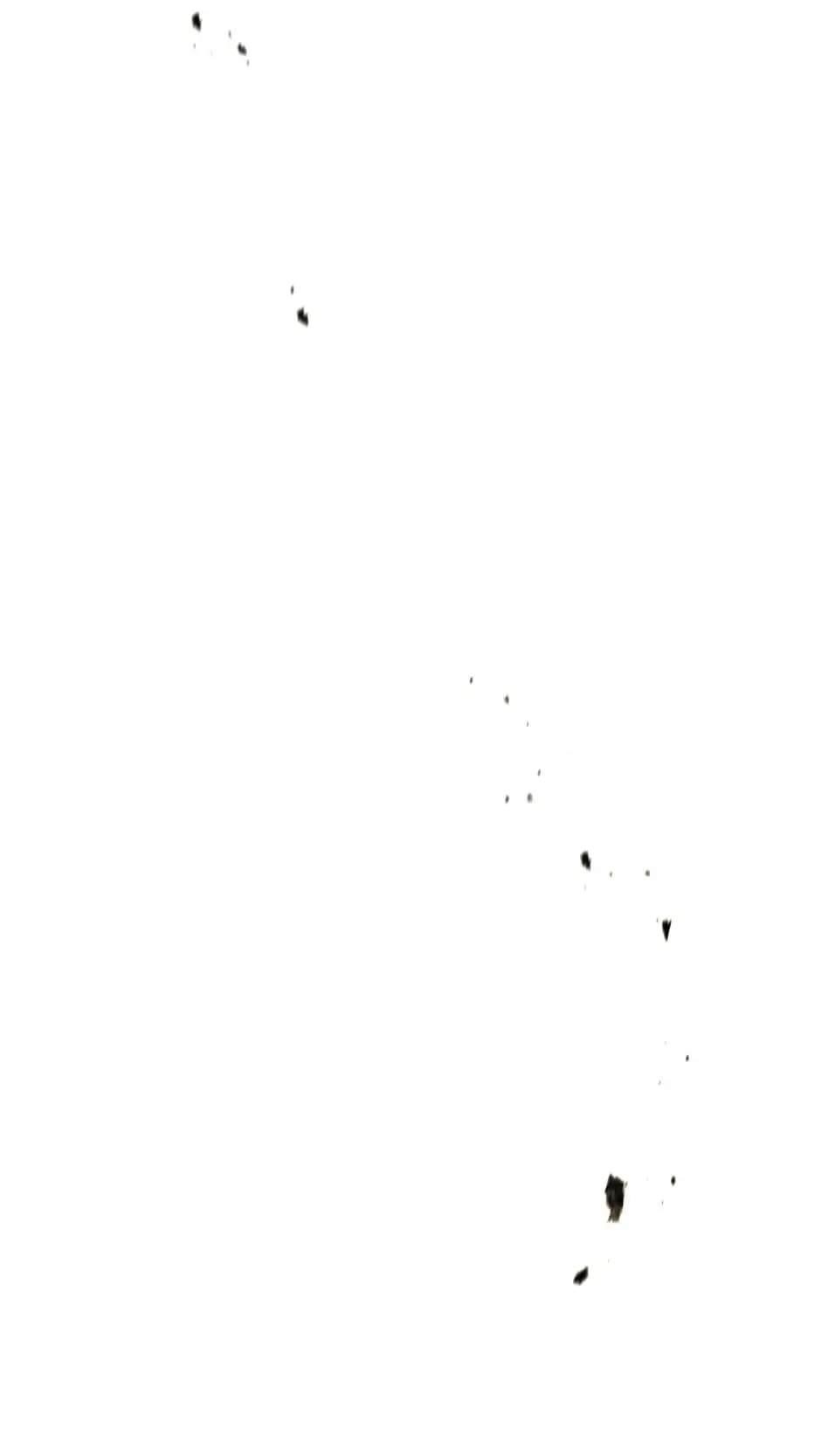 Salvos (A Monster Evolution Litrpg) Chapter 3 - Page 11