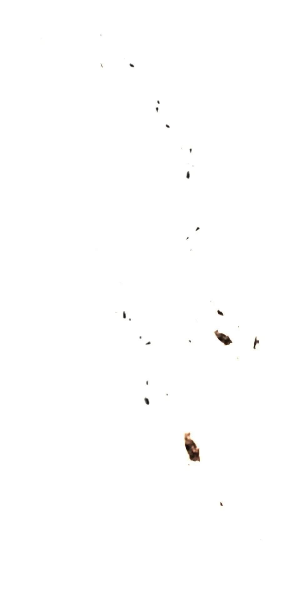 Salvos (A Monster Evolution Litrpg) Chapter 3 - Page 46