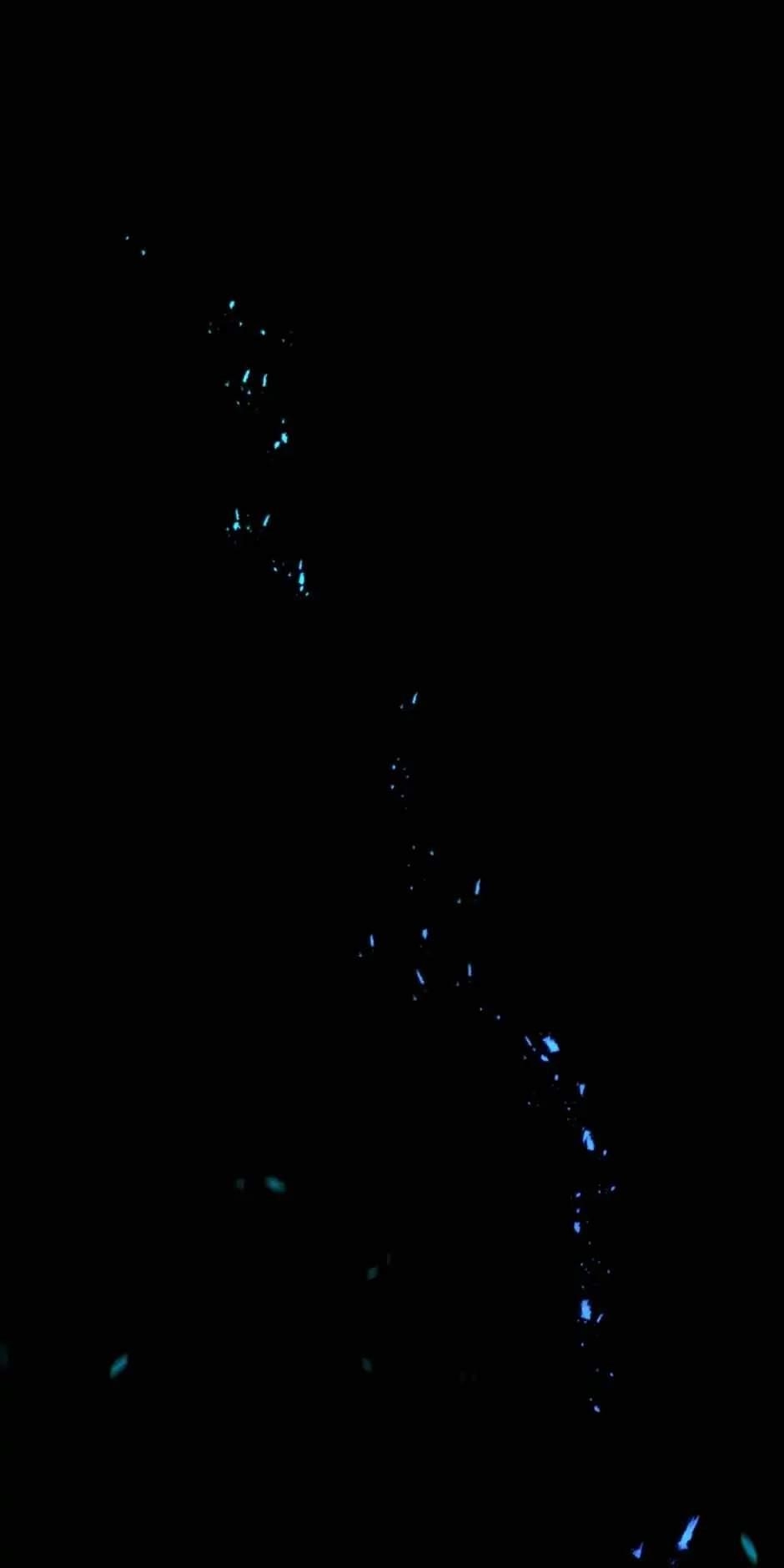 Salvos (A Monster Evolution Litrpg) Chapter 6 - Page 56