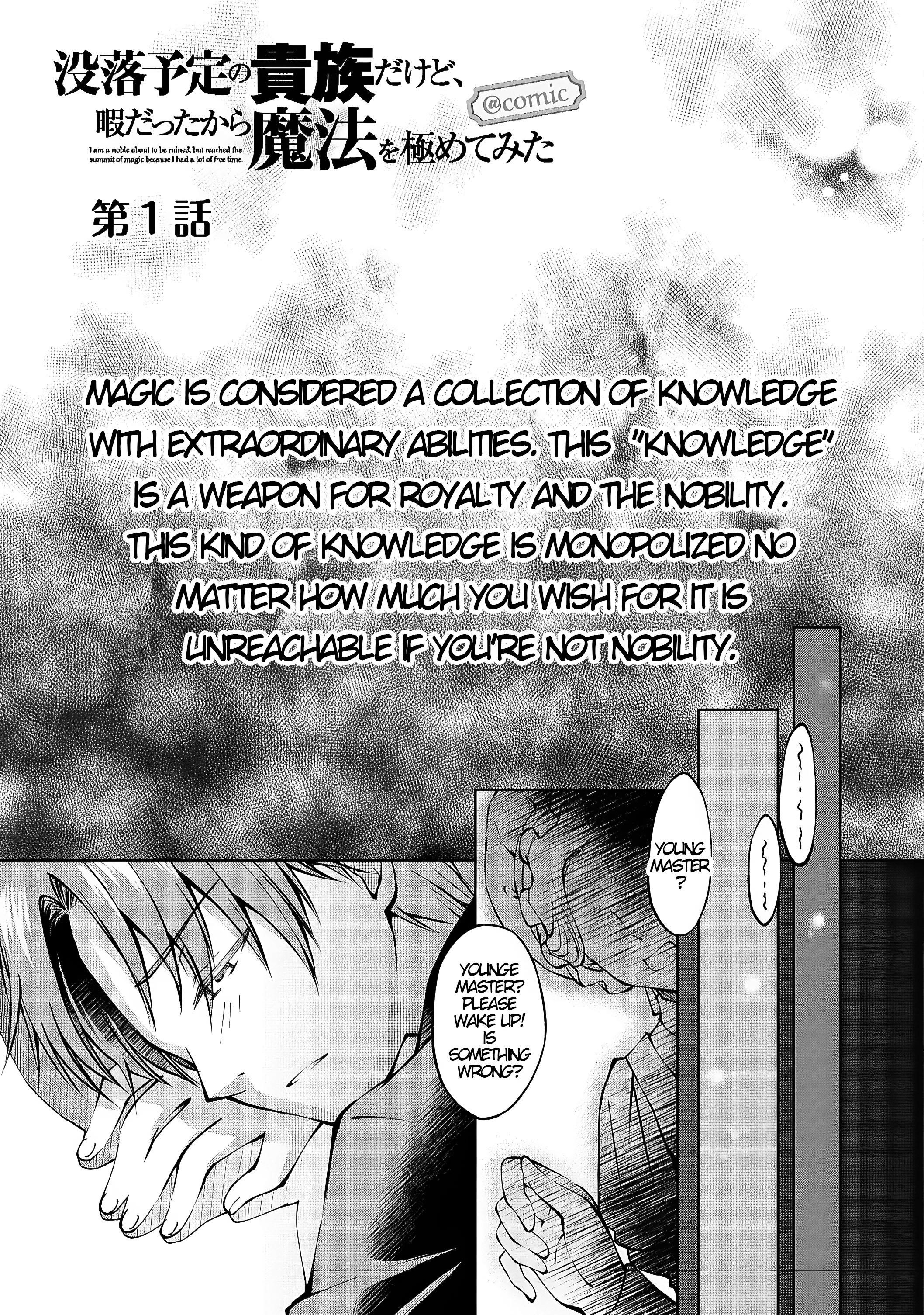 My Noble Family is Headed For Ruin, So I May As Well Study Magic In My Free Time Chapter 1 - Page 5