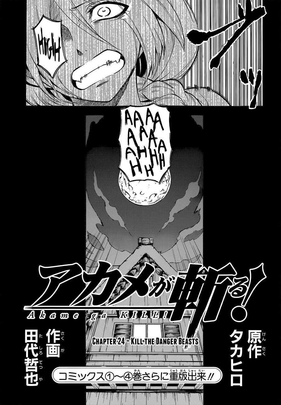 Akame Ga Kill! Chapter 24 - Page 3