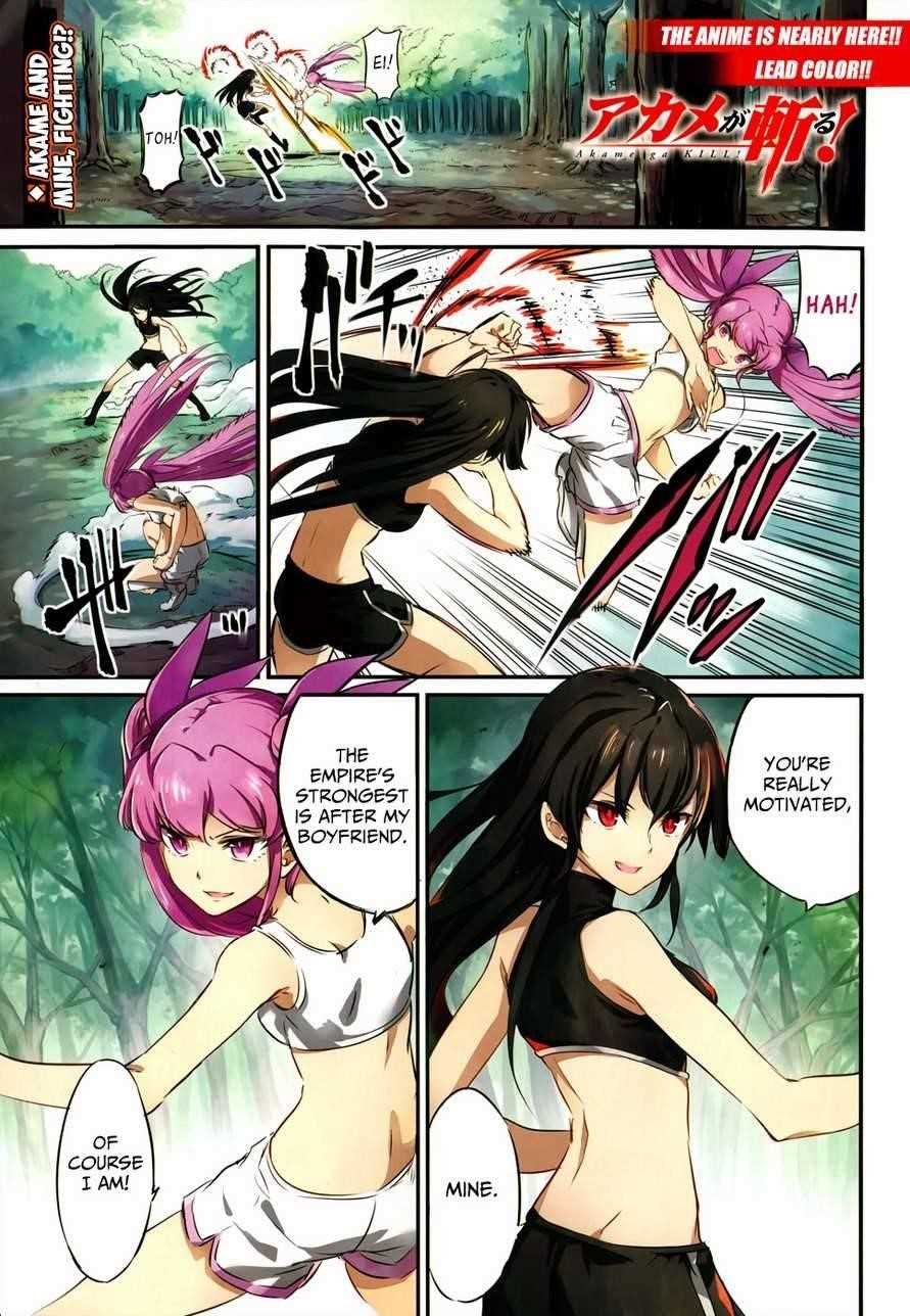 Akame Ga Kill! Chapter 50 - Page 2