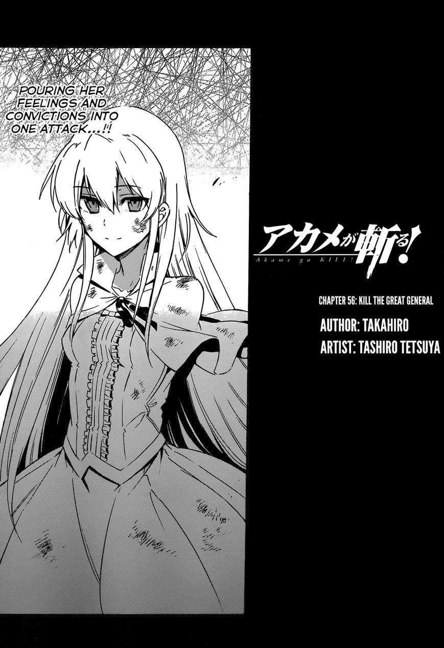 Akame Ga Kill! Chapter 56 - Page 17