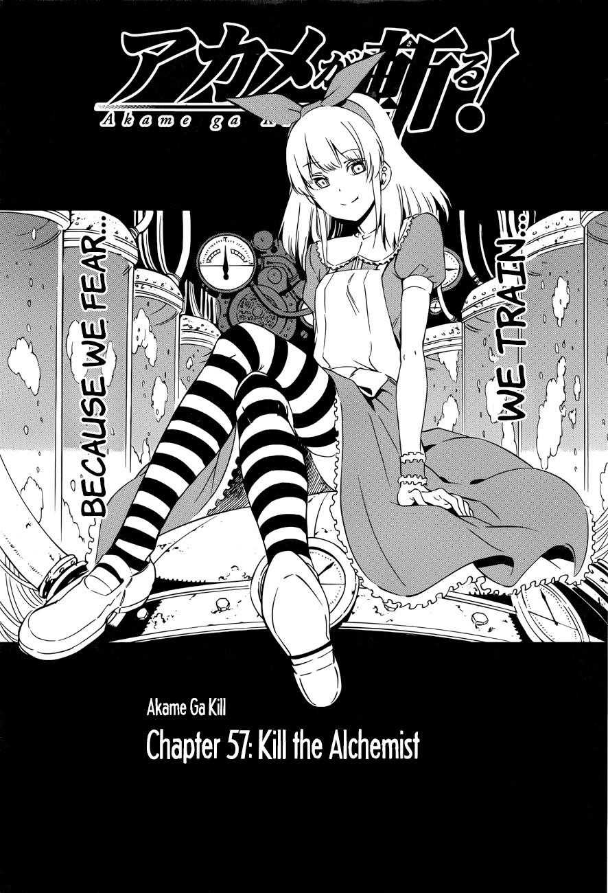 Akame Ga Kill! Chapter 57 - Page 1