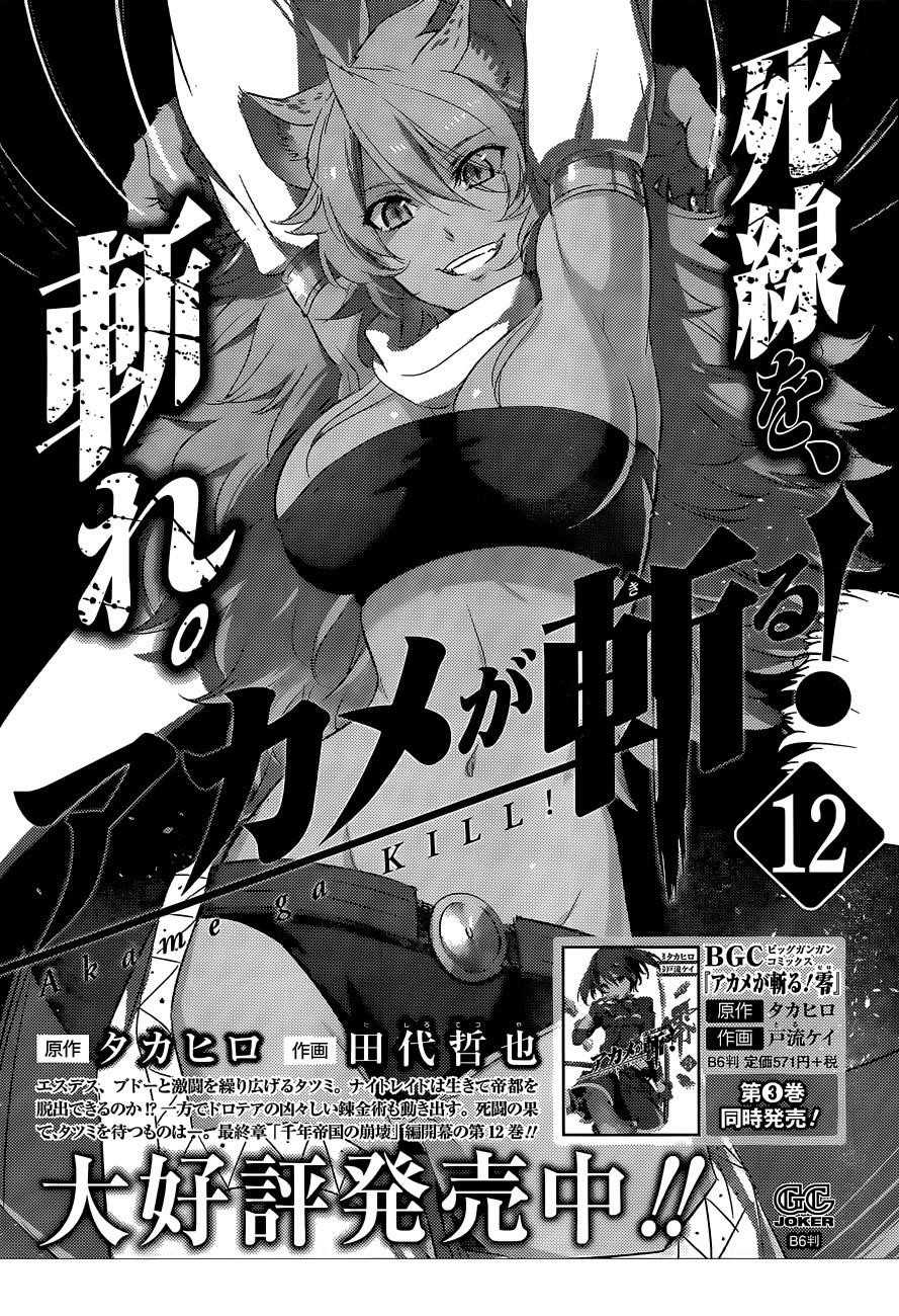 Akame Ga Kill! Chapter 62 - Page 49