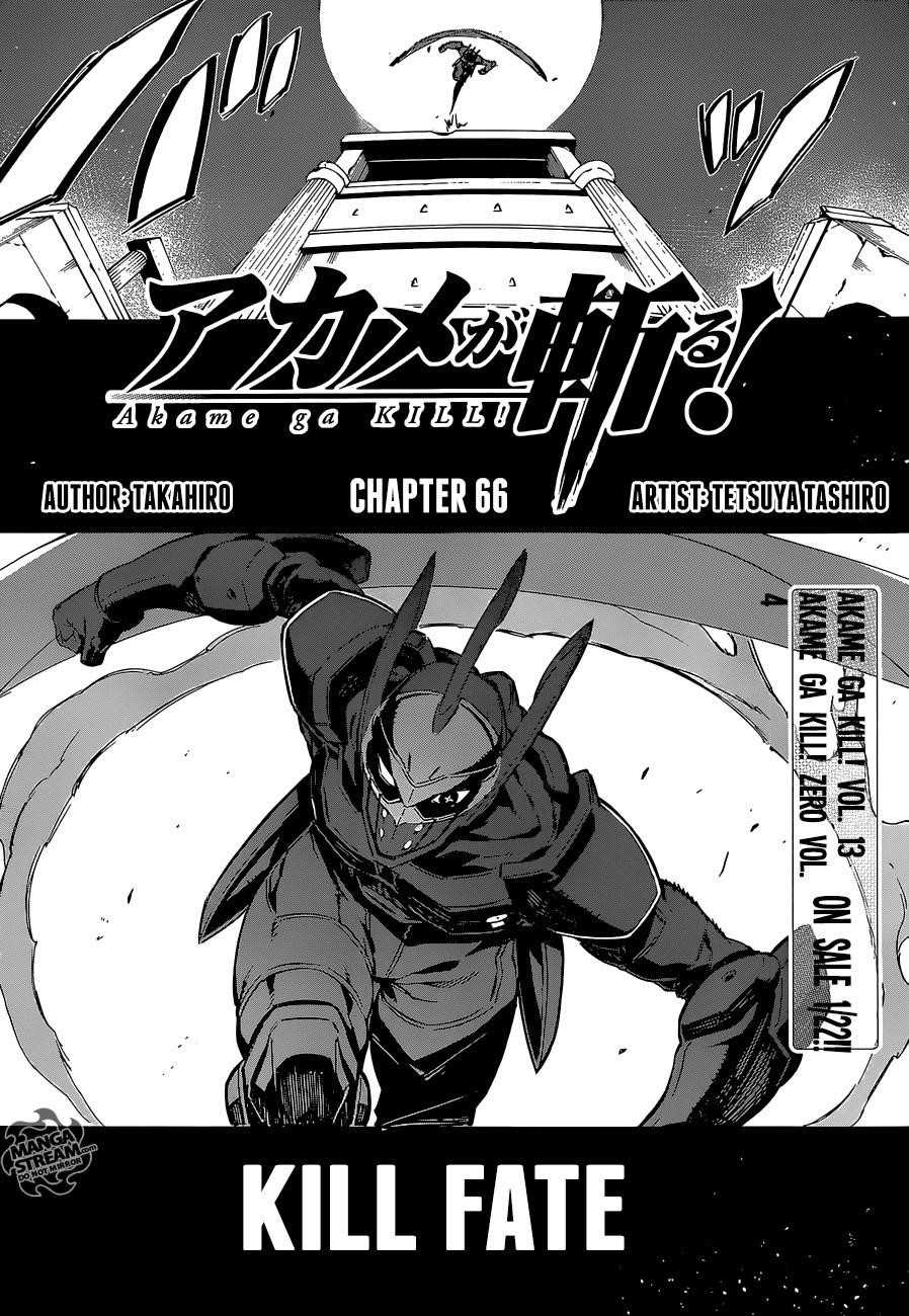 Akame Ga Kill! Chapter 66 - Page 5