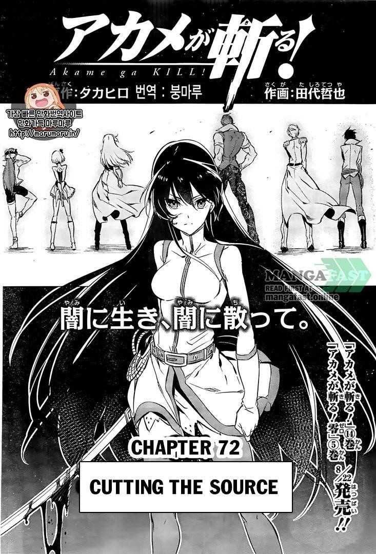 Akame Ga Kill! Chapter 72 - Page 2