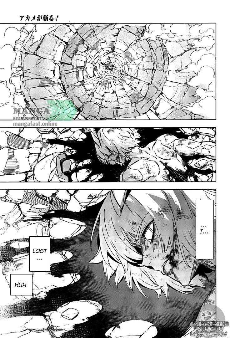 Akame Ga Kill! Chapter 73 - Page 18