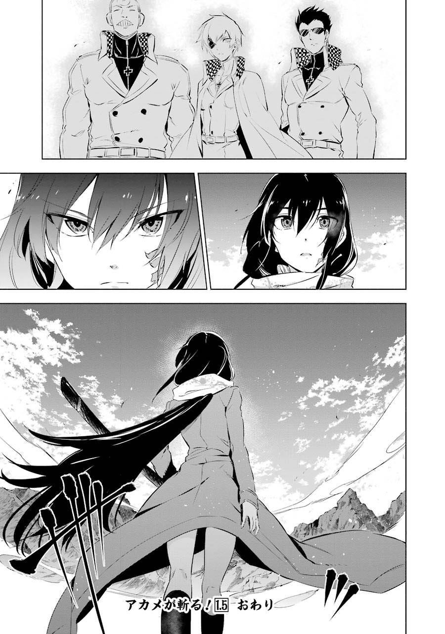 Akame Ga Kill! Chapter 78.5 - Page 17