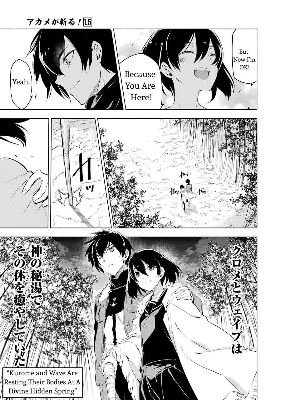 Akame Ga Kill! Chapter 78.5 - Page 7