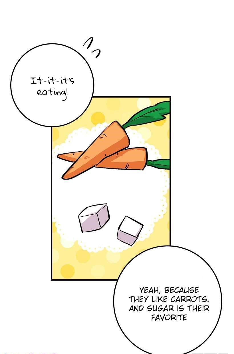 I Am A Child Of This House Chapter 60 - Page 19