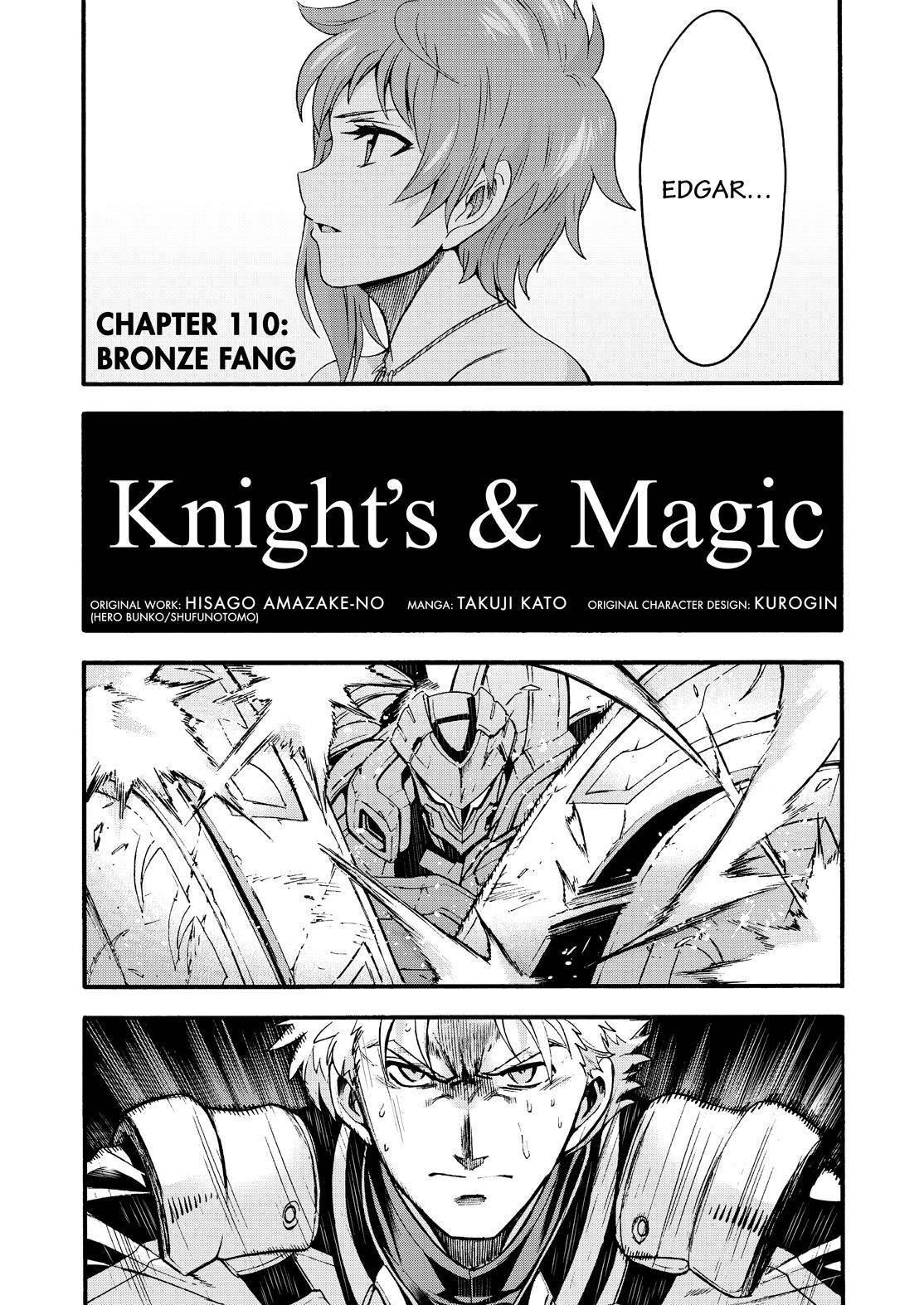 Knights & Magic Chapter 110 - Page 2