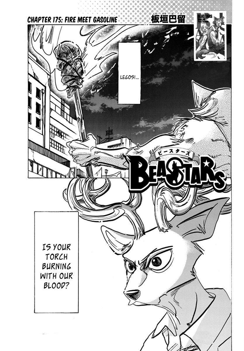 Beastars Chapter 175 - Page 1