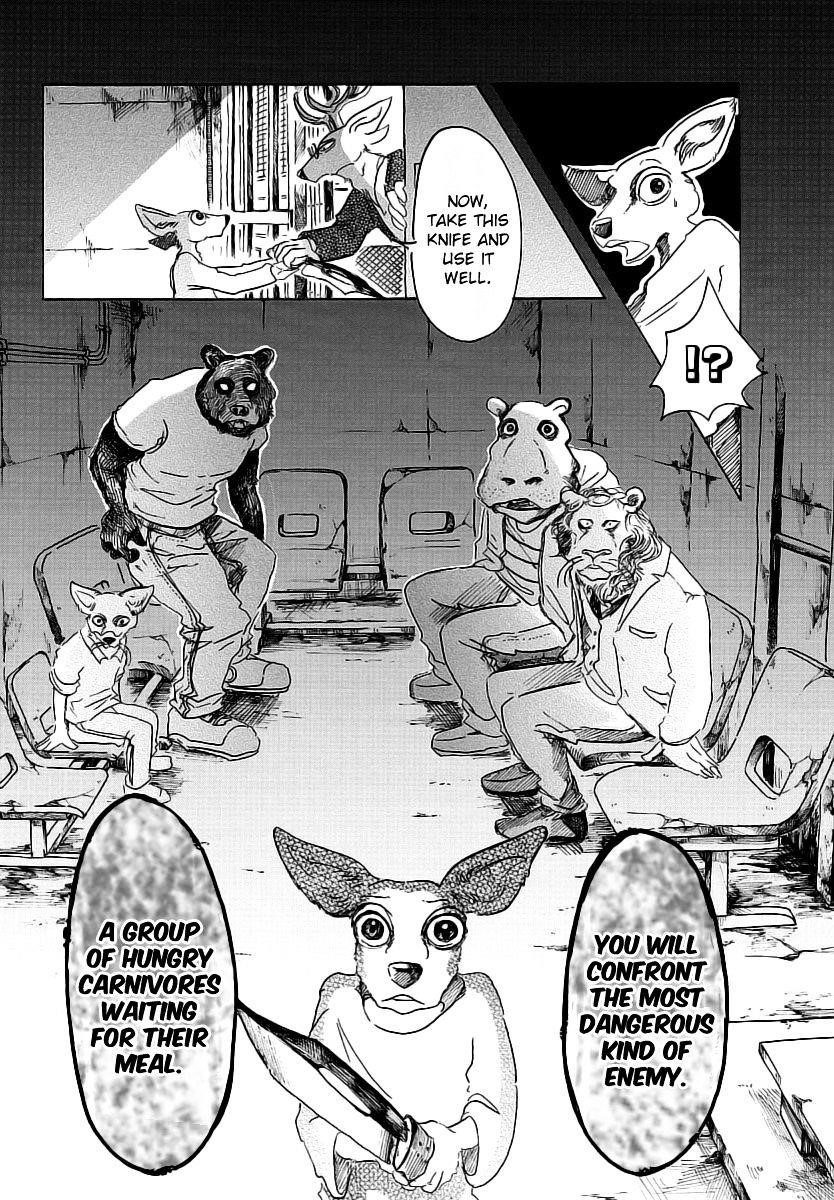 Beastars Chapter 33 - Page 17