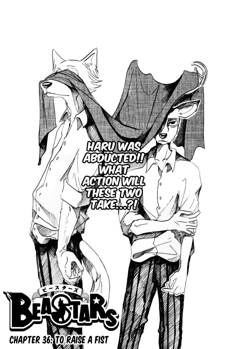 Beastars Chapter 36 - Page 1