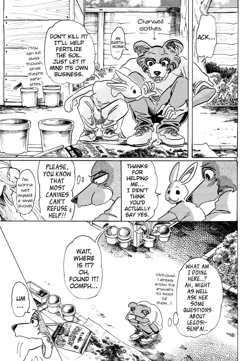 Beastars Chapter 79 - Page 13