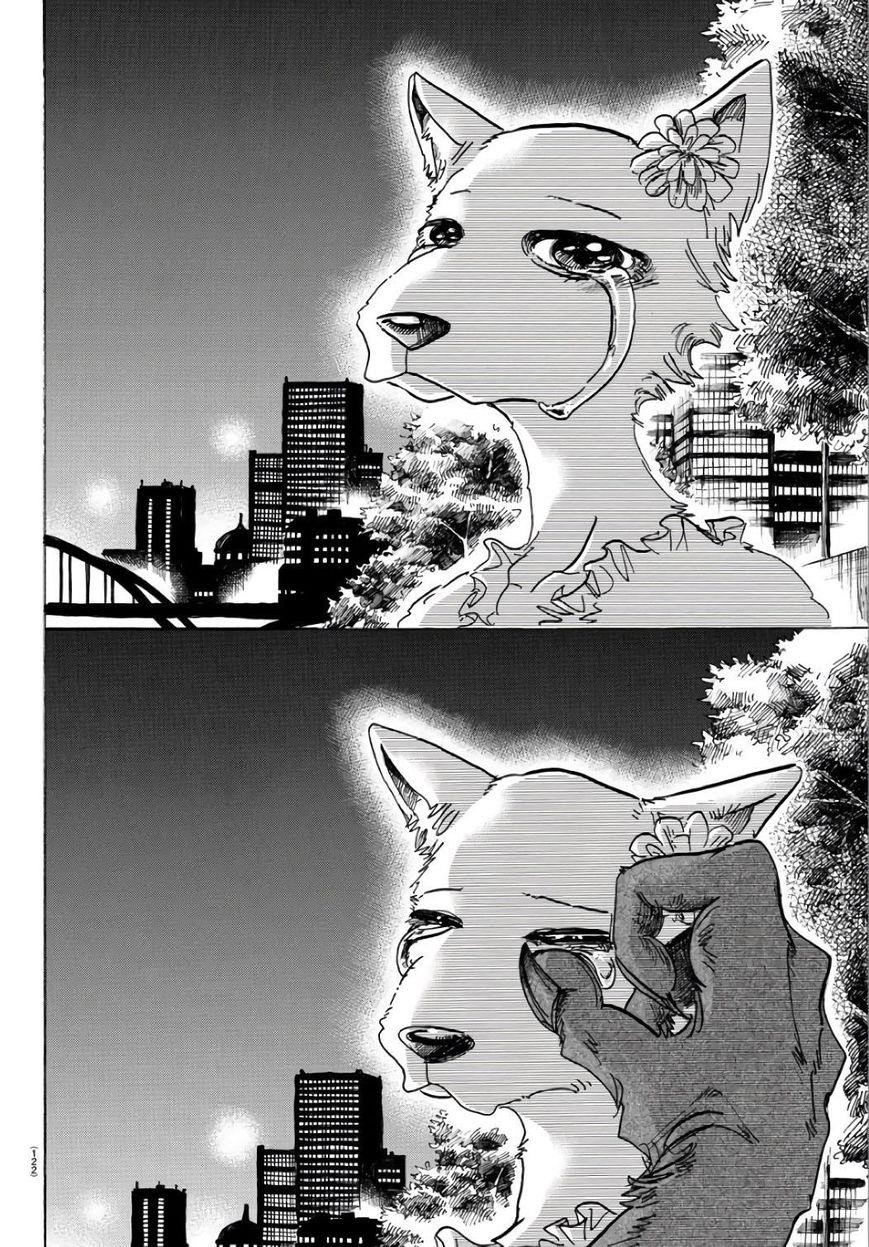 Beastars Chapter 86 - Page 17