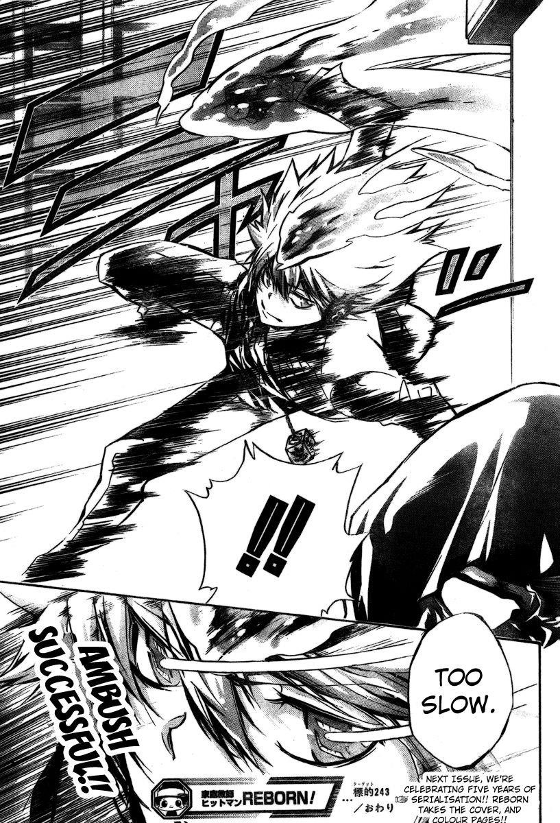 Hitman Reborn Chapter 243 - Page 17