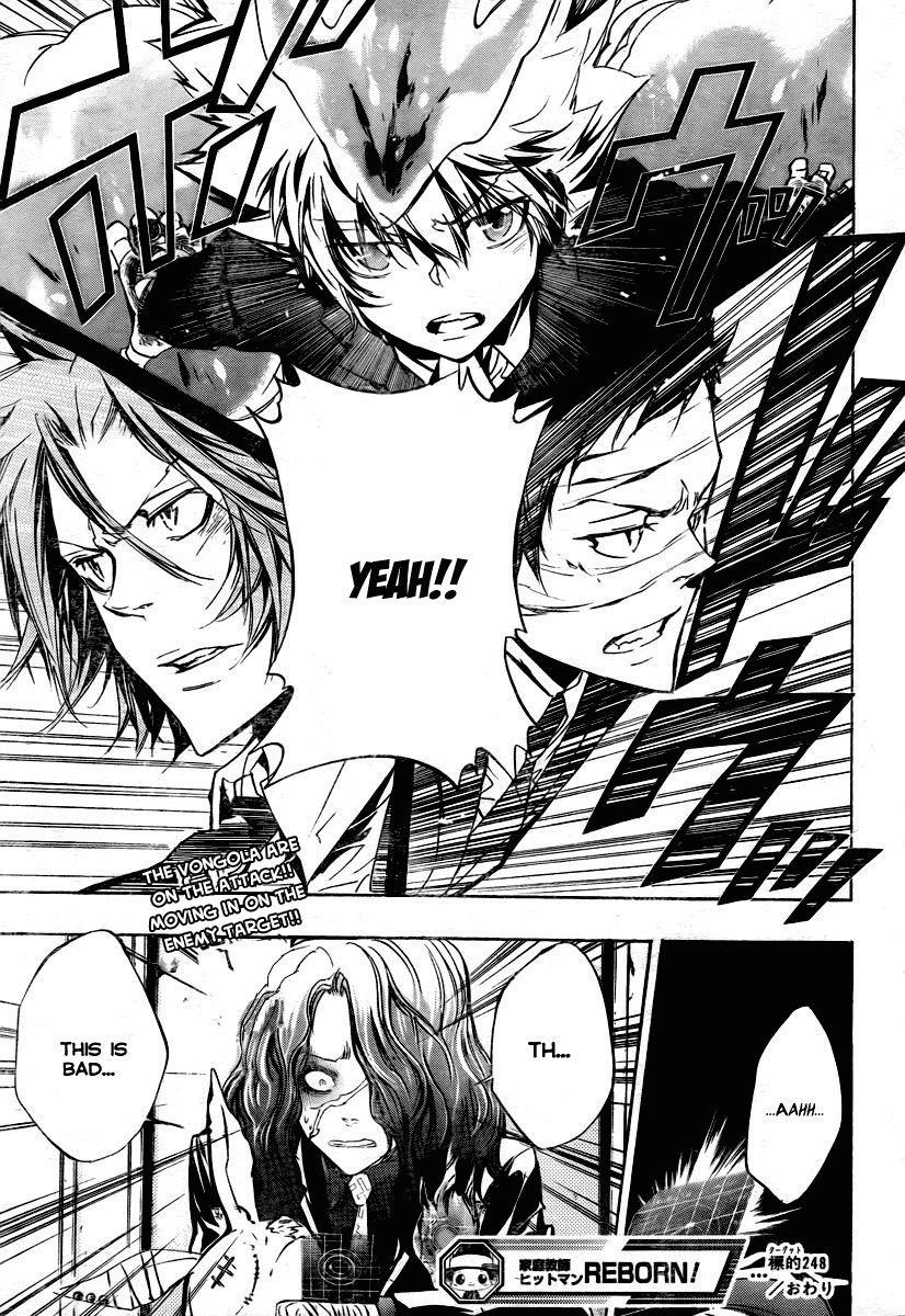 Hitman Reborn Chapter 248 - Page 17