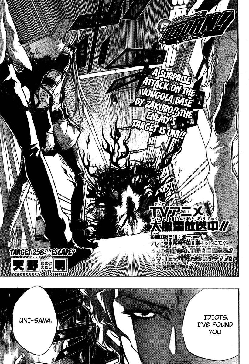 Hitman Reborn Chapter 258 - Page 1