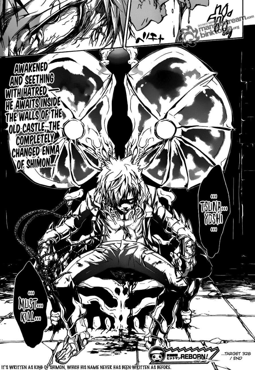 Hitman Reborn Chapter 328 - Page 17