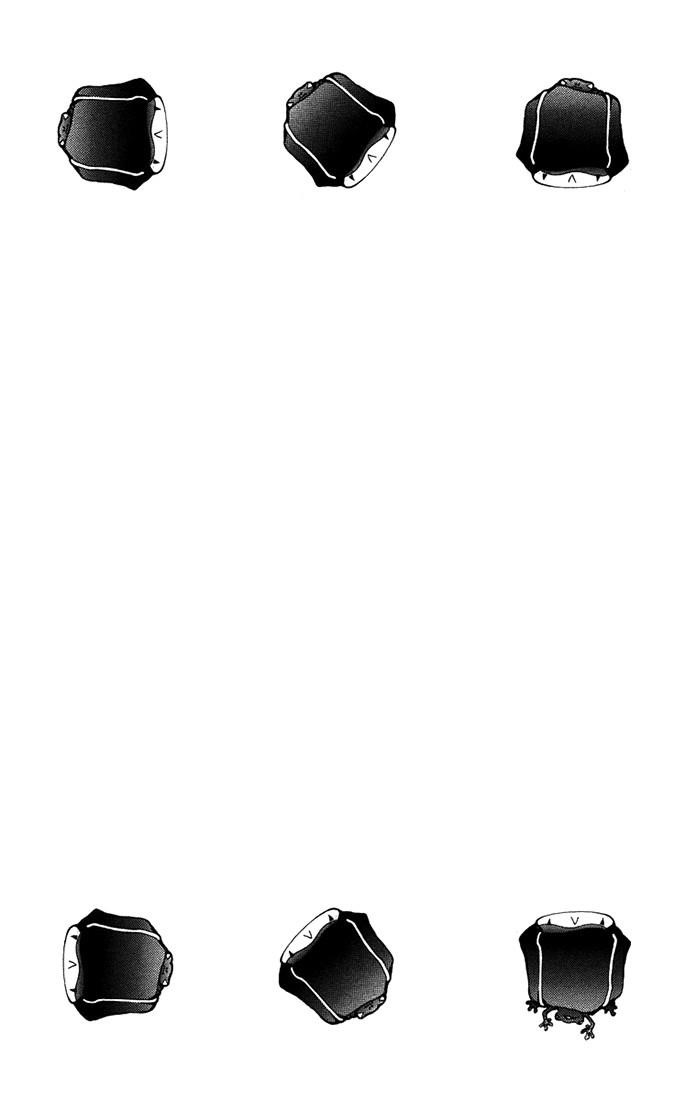 Hitman Reborn Chapter 99 - Page 10