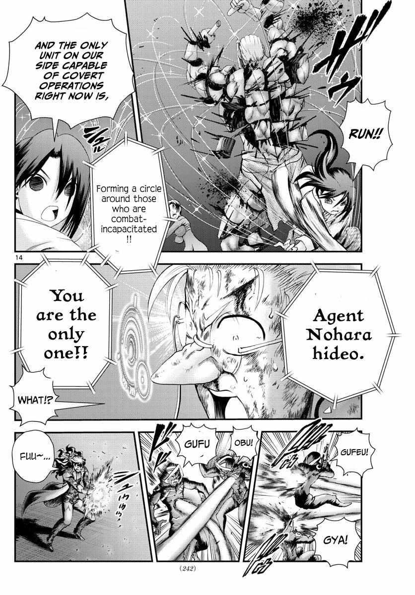 Kimi Wa 008 Chapter 243 - Page 14