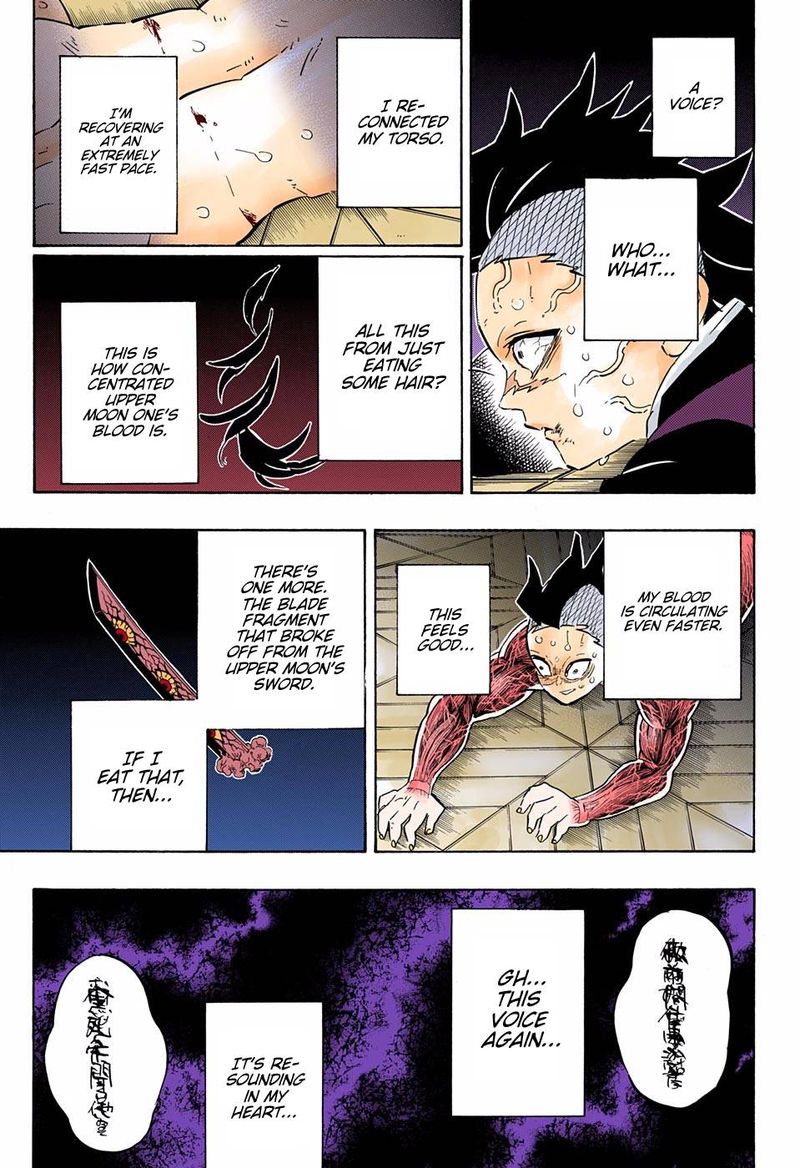 Demon Slayer: Kimetsu no Yaiba – manga in colored Chapter 171 - Page 3