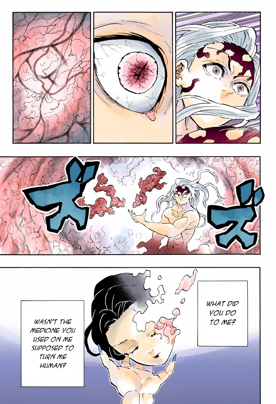 Demon Slayer: Kimetsu no Yaiba – manga in colored Chapter 193 - Page 15