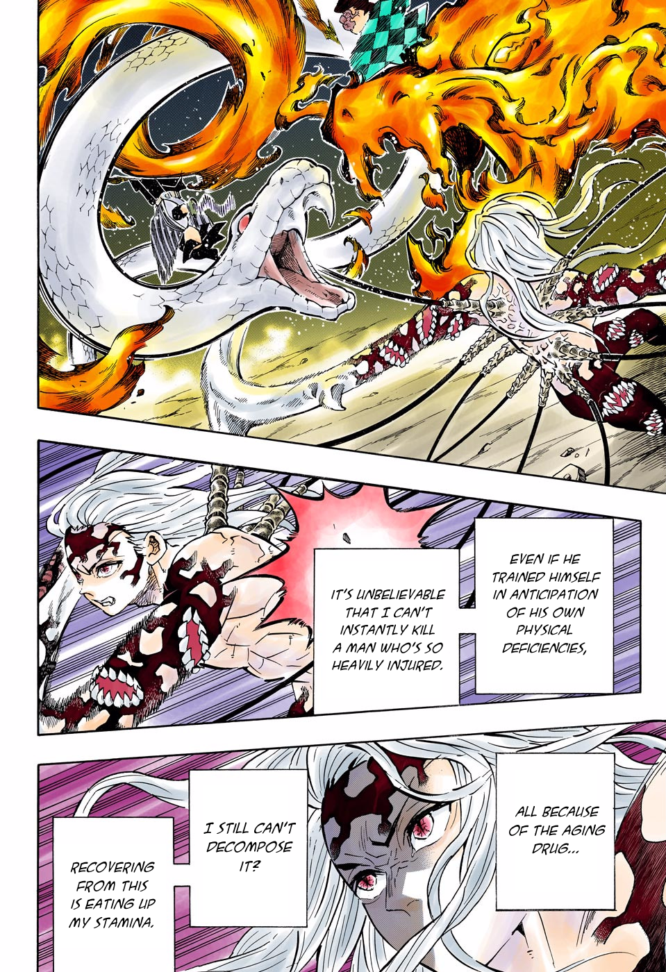 Demon Slayer: Kimetsu no Yaiba – manga in colored Chapter 194 - Page 16