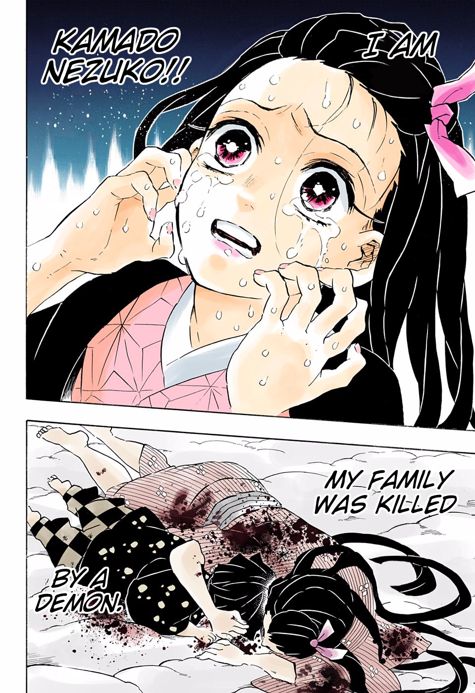 Demon Slayer: Kimetsu no Yaiba – manga in colored Chapter 196 - Page 12