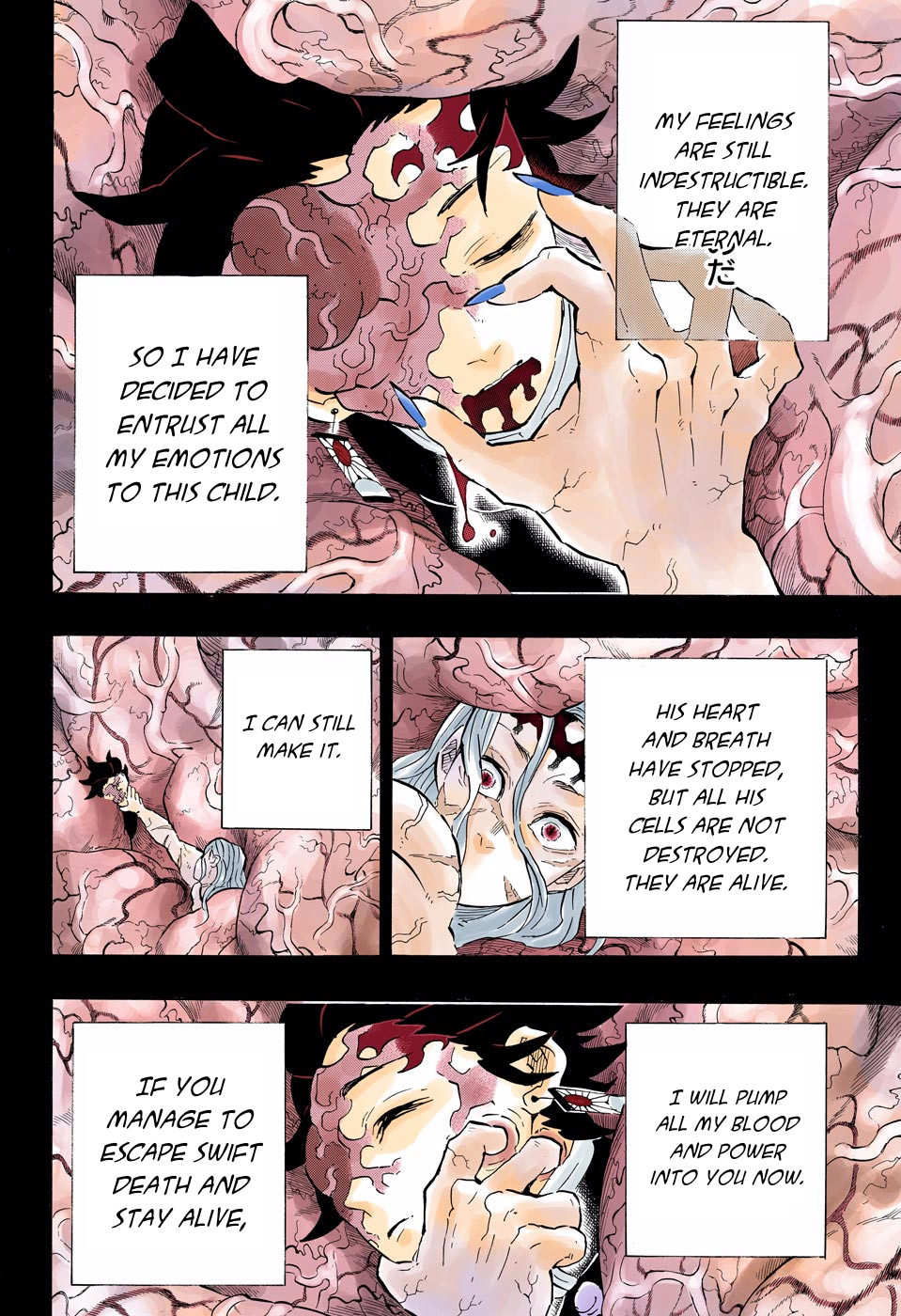 Demon Slayer: Kimetsu no Yaiba – manga in colored Chapter 201 - Page 4