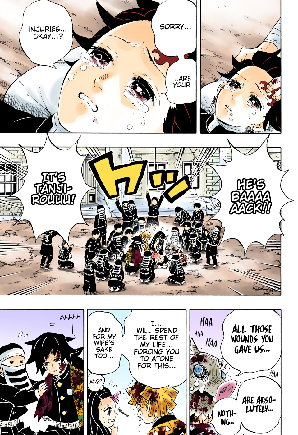 Demon Slayer: Kimetsu no Yaiba – manga in colored Chapter 203 - Page 17