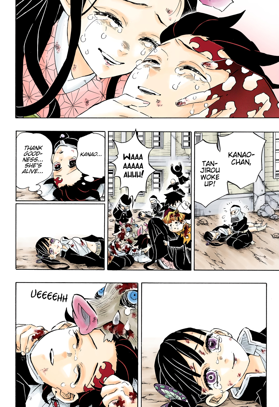 Demon Slayer: Kimetsu no Yaiba – manga in colored Chapter 203 - Page 18