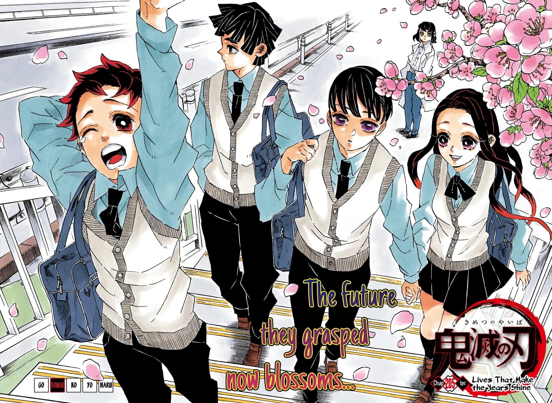 Demon Slayer: Kimetsu no Yaiba – manga in colored Chapter 205 - Page 2