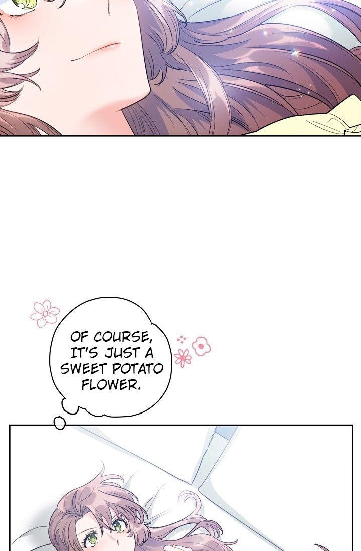 The Duchess’ 50 Tea Recipes Chapter 80 - Page 16