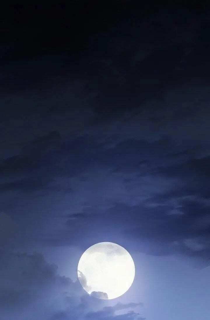 The Duchess’ 50 Tea Recipes Chapter 95 - Page 1