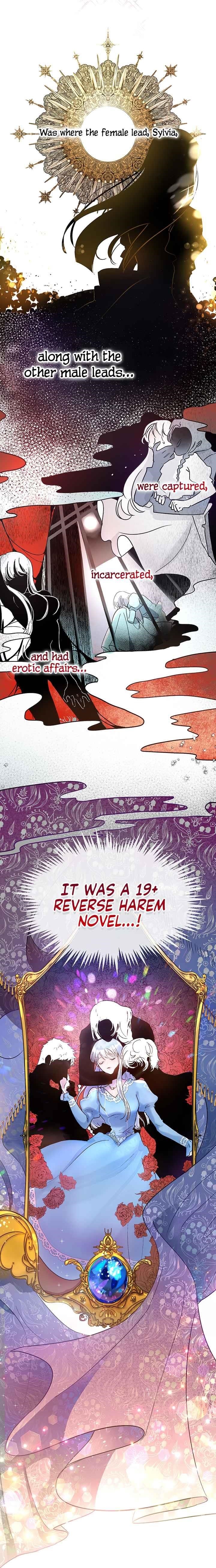 How to Protect the Heroine’s Older Brother Chapter 1 - Page 4