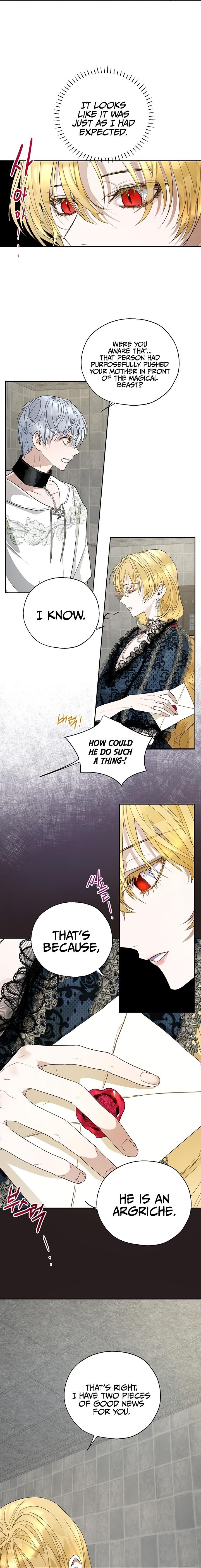 How to Protect the Heroine’s Older Brother Chapter 19 - Page 9