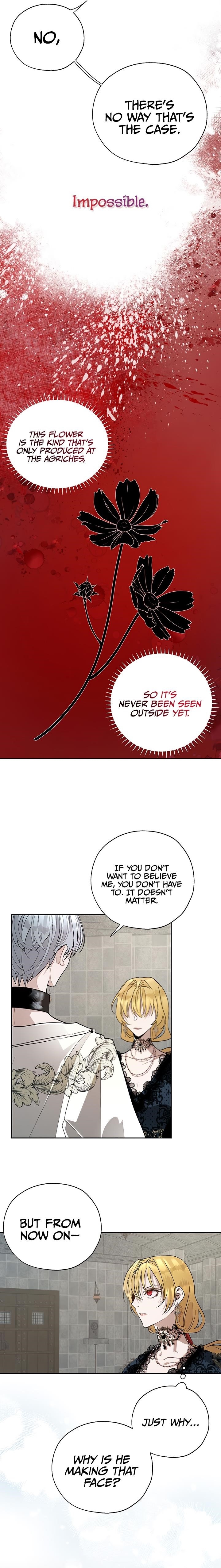 How to Protect the Heroine’s Older Brother Chapter 20 - Page 3